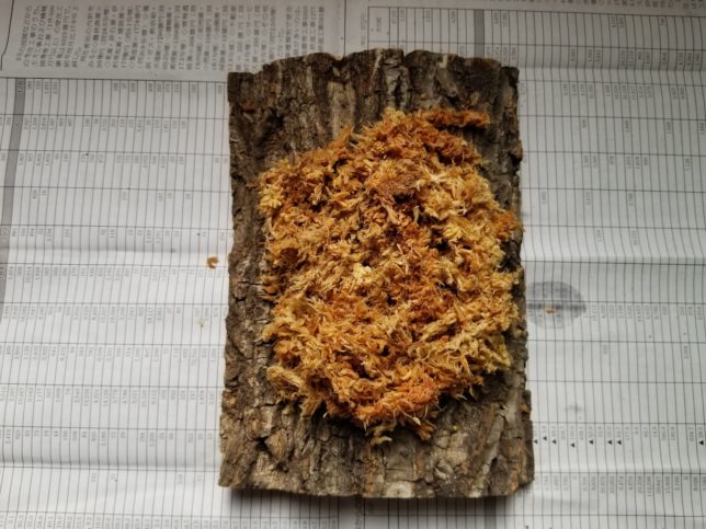 コルク板に敷いていく