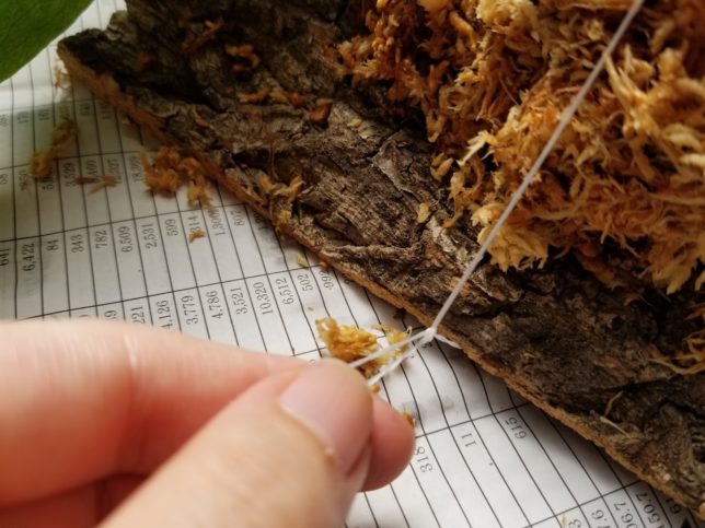 板の端っこで最初に縛って