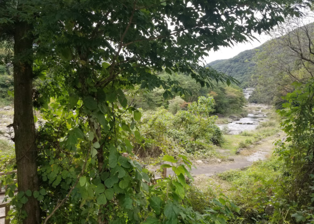 鬼怒川の景色、緑たっぷり