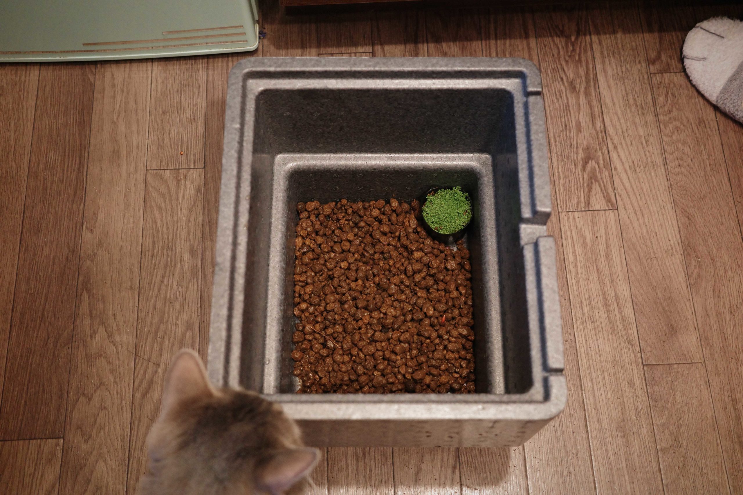 ビオトープ、底石。