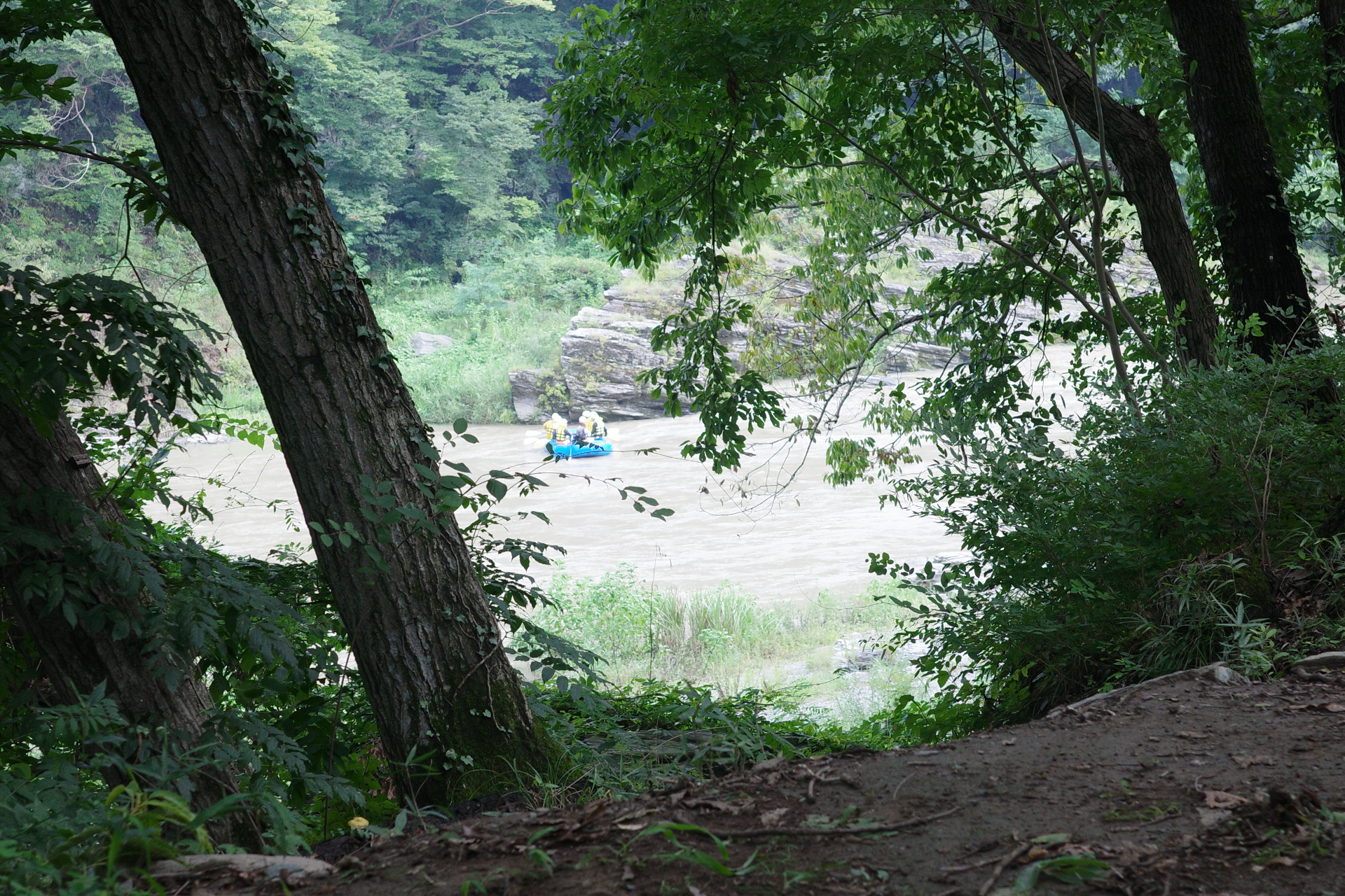 ブッシュクラフトエリアからの眺め
