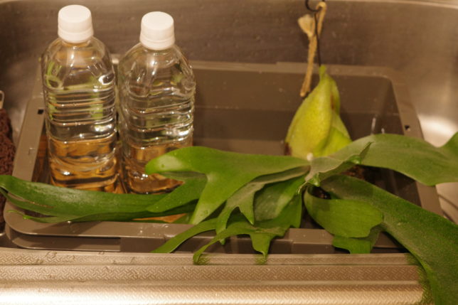 ペットボトルの重しで浮き防止。