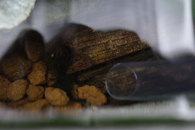 底の方にあててすうと砂利の掃除にもなります。