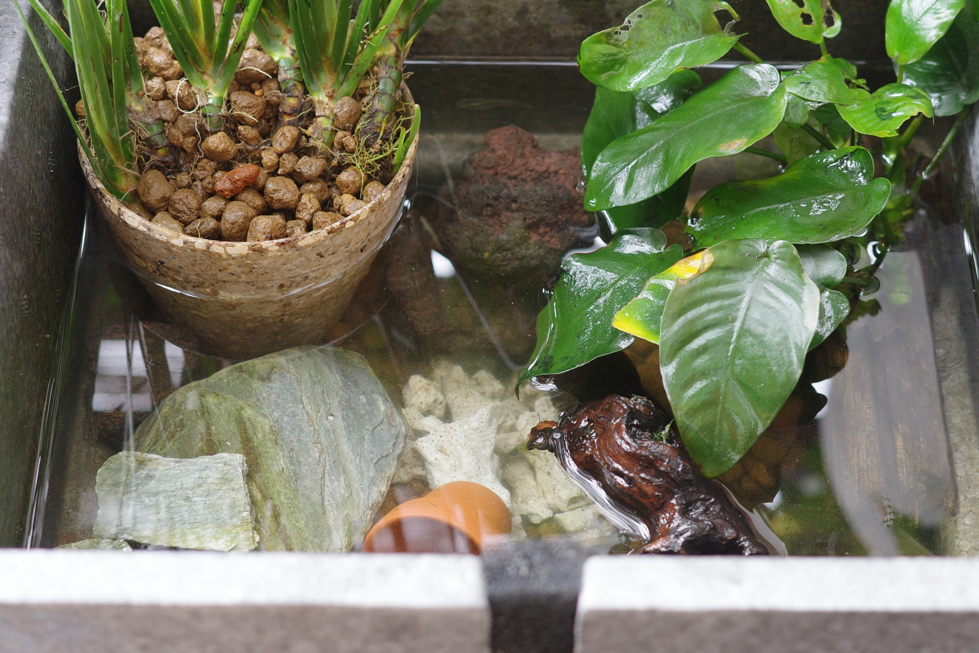 レイアウトを元に戻します。