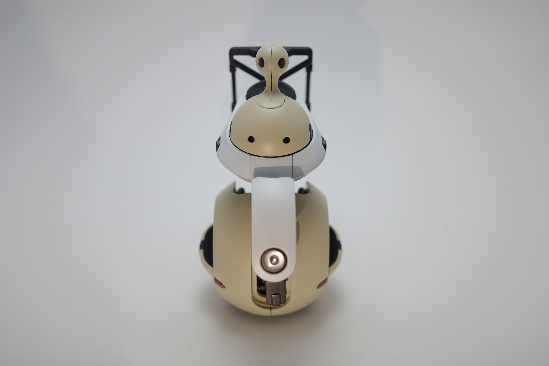 反射してきれいに見えるよ