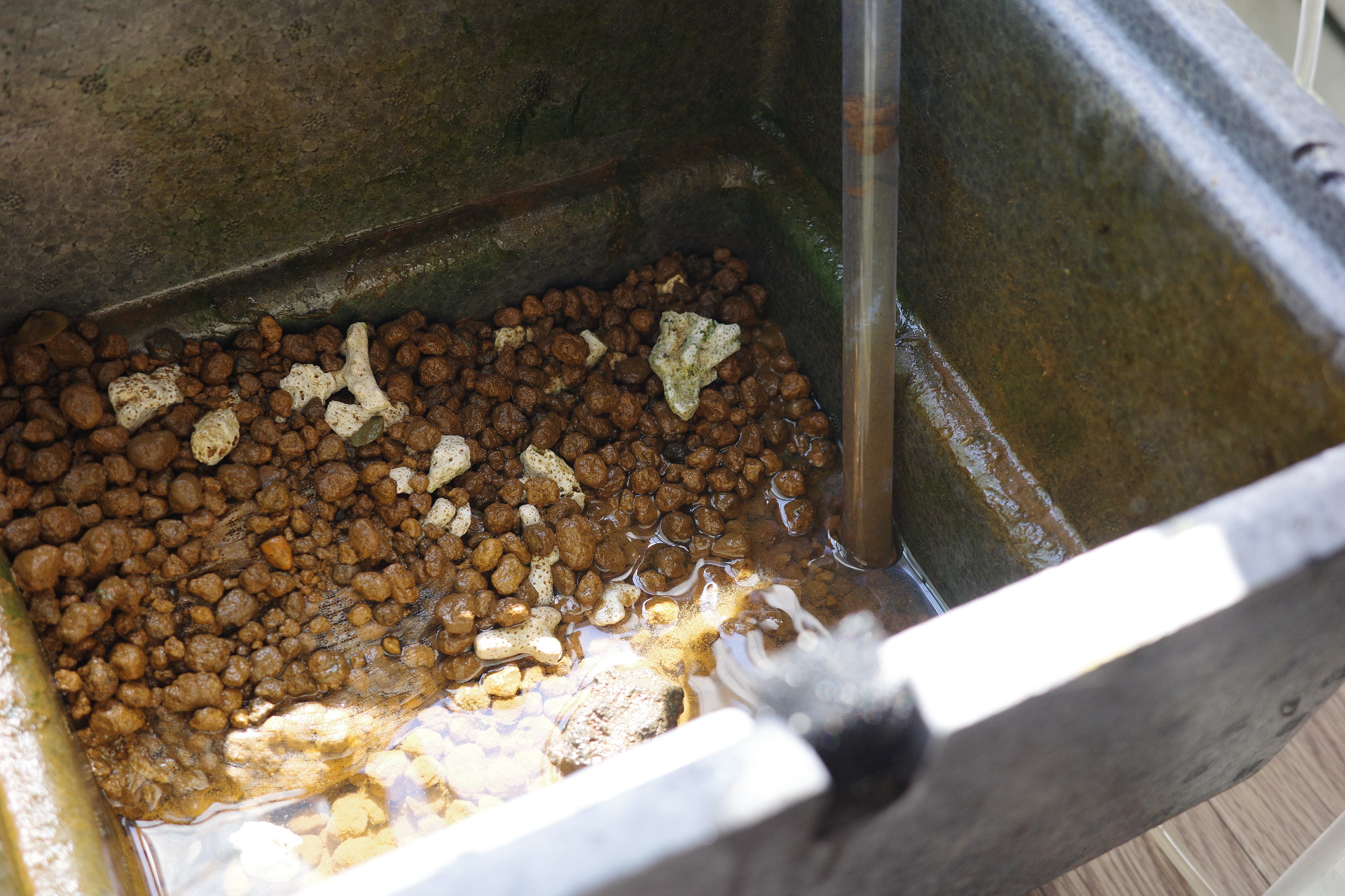 お水を吸い出します