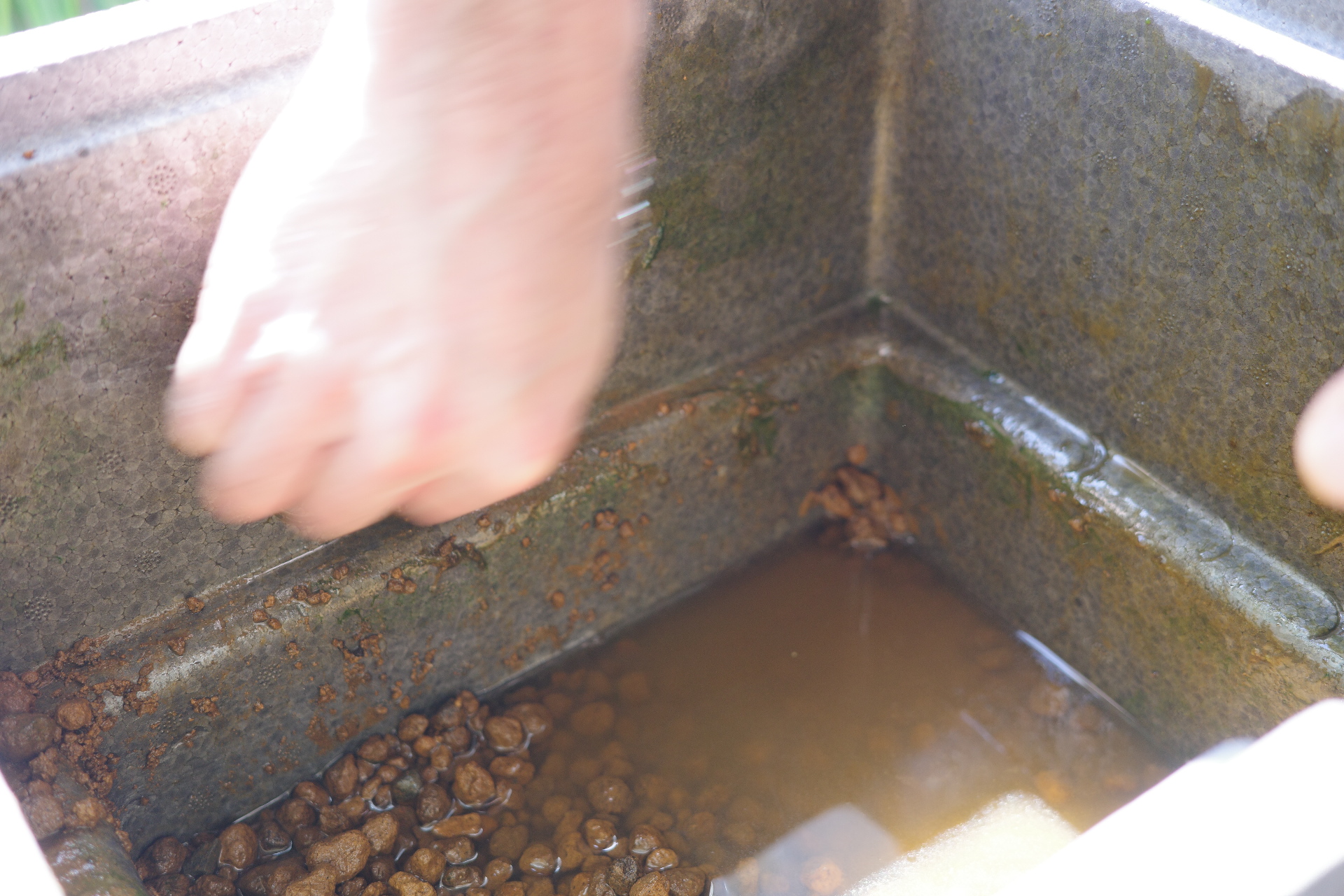 メラミンスポンジでこすり落とします