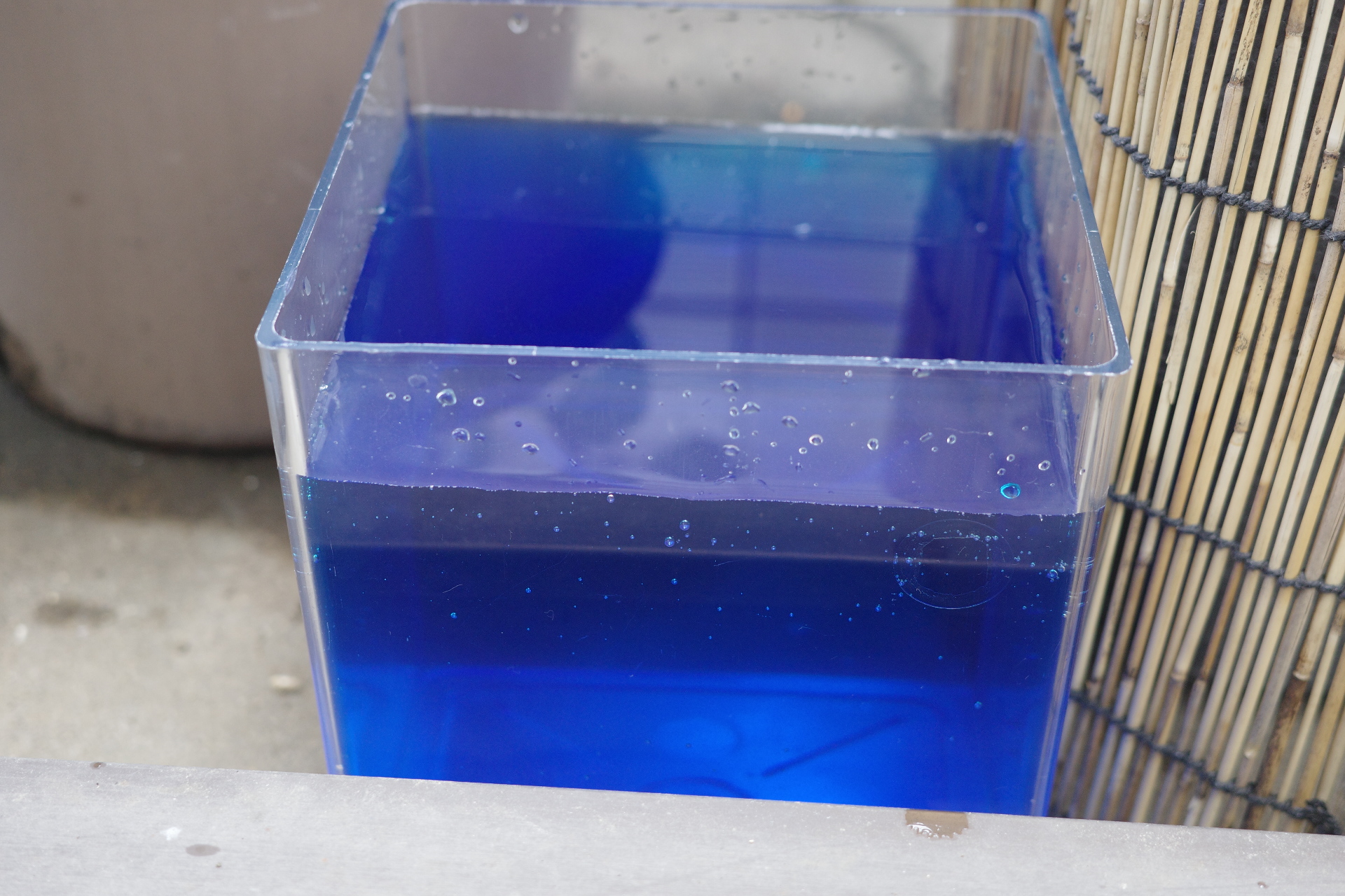 水カビ対策メチレンブルー、めちゃ青い