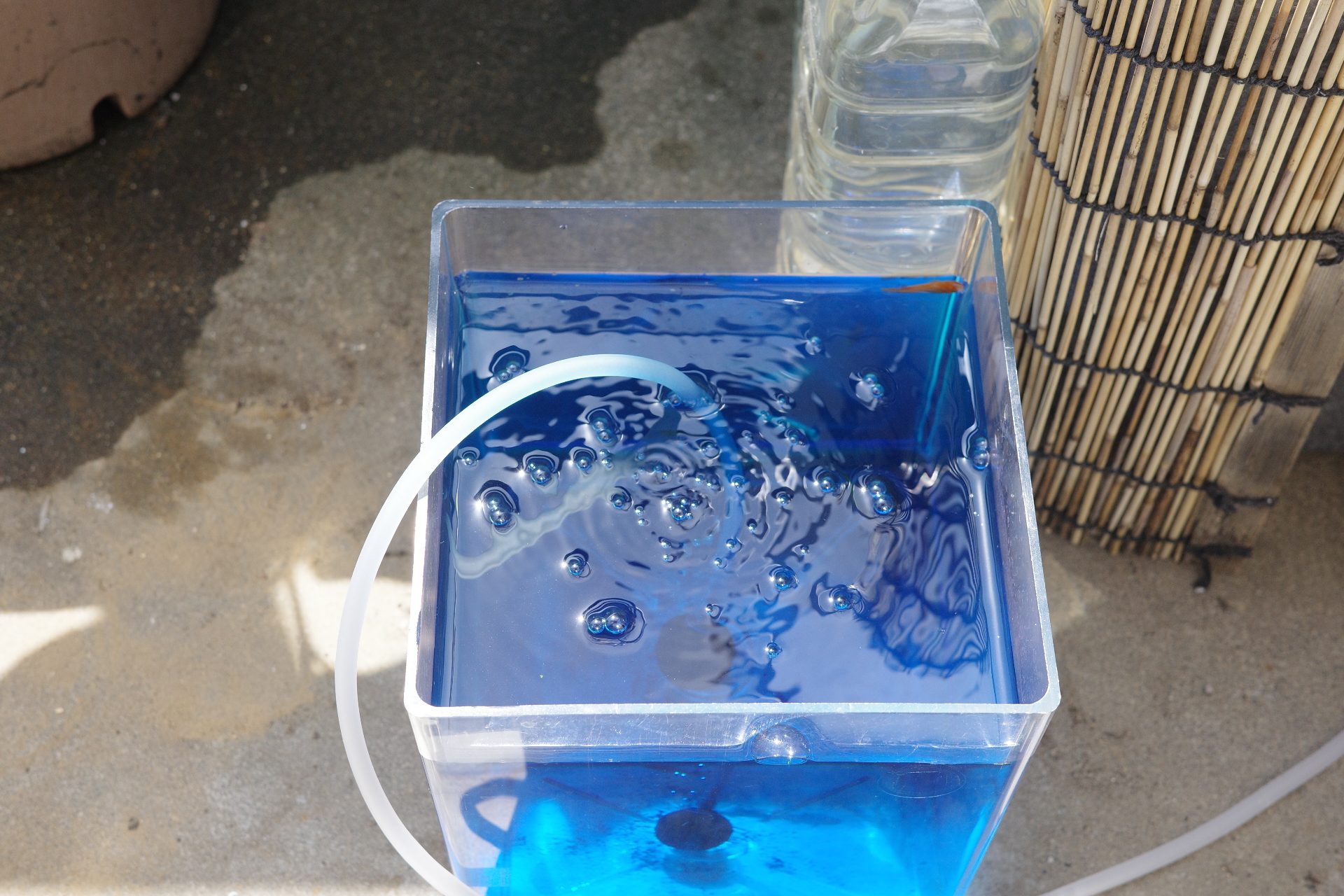 メチレンブルー、様子見。